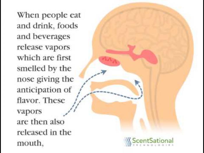 12 Unusual Facts About Smell And Taste Health And Wellness News 