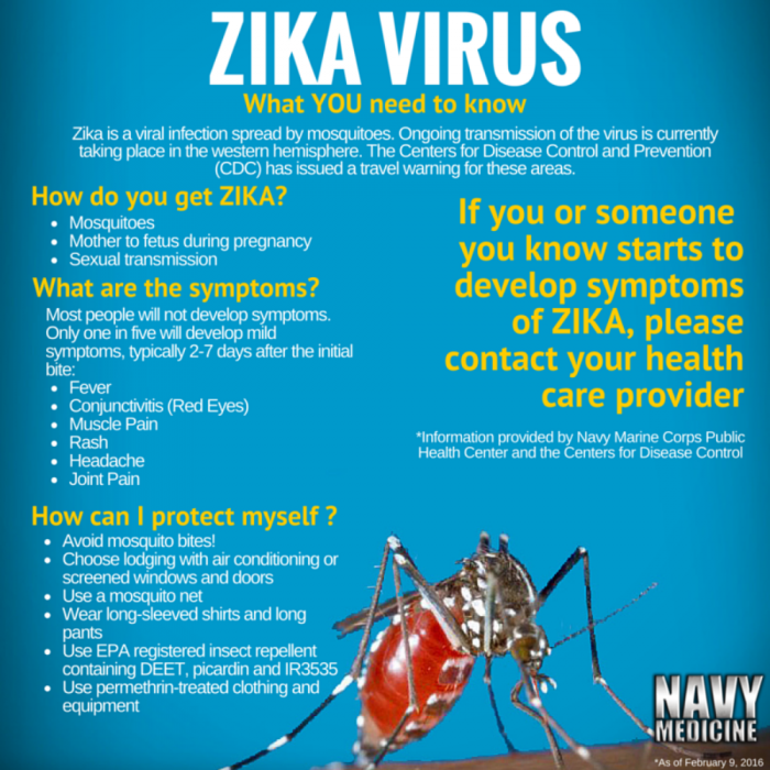 Americans Dont Get It How Many Of These Zika Facts Did You Have Wrong Health And Wellness 9363