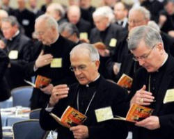 U.S. Bishops: Catholics In Political Life - Politics & Policy - News ...