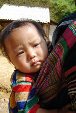 Vietnam's Challenge: Reducing Hmong Infant Mortality - Asia & Pacific ...