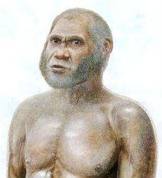 Red deer cave people appearance