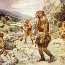 Homo sapiens - not the ice age, killed the Neanderthals - Green - News ...