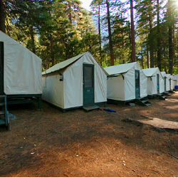 Second Person Dies From Hantavirus Contracted At Yosemite Park