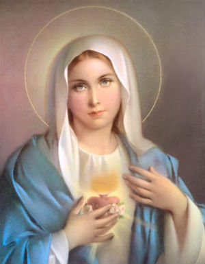 Friday, May 30 - The Immaculate: Mother of Mercy - Daily Homily ...