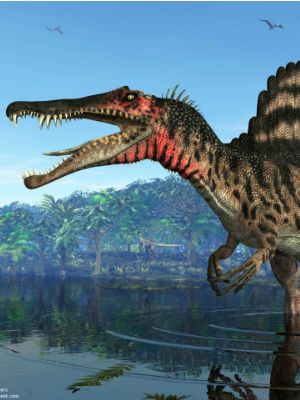 new spinosaurus discovery