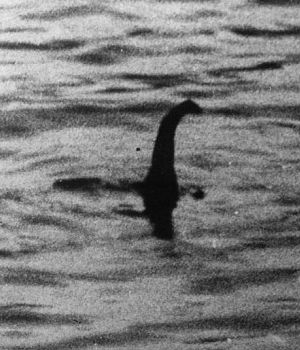 Very intriguing photo offers proof that Loch Ness Monster may exist ...