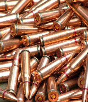 BANNING BULLETS: Obama to use executive action to ban ammo for popular ...