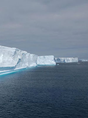 2020: Antarctic ice shelf could collapse - Green - News - Catholic Online