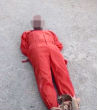 Image of