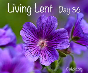 'Living Lent': Wednesday of the Fifth Week of Lent - Day 36 - Socials ...