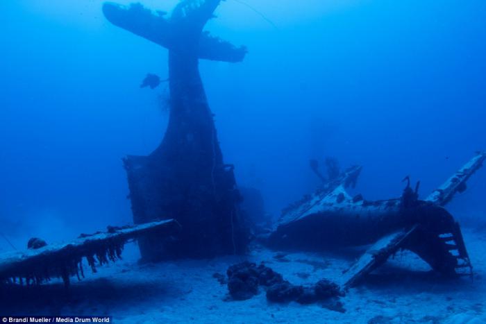 AMAZING PHOTOS: Underwater graveyard of hundreds of World War II planes ...