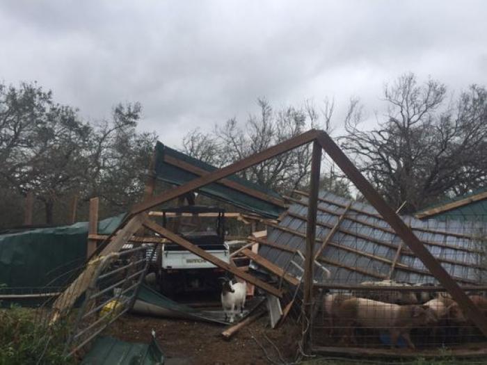 The Butts Family farm after Hurricane Harvey