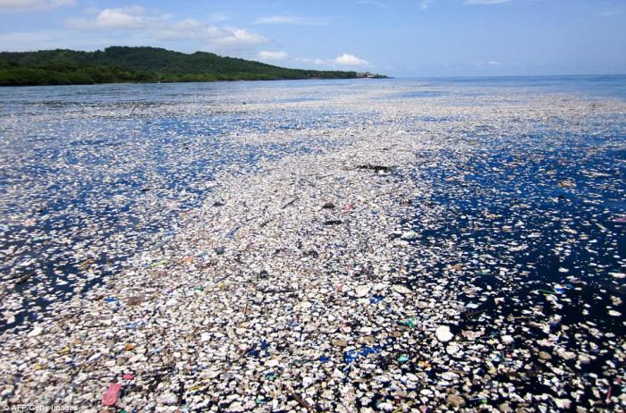 Plastic garbage wafts around Roatan, killing wildlife and ruining the natural beauty of the coast. 