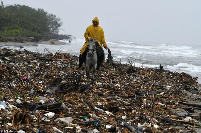A man rides his horse on the beach, an experience marred by the incredible quantities of rubbish.