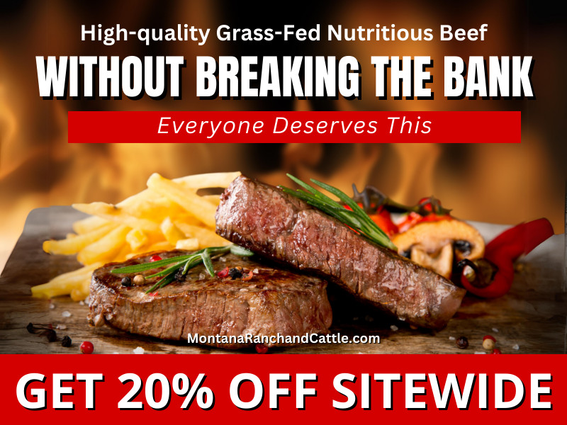 Family Savings 20% off Montana Ranch and Cattle