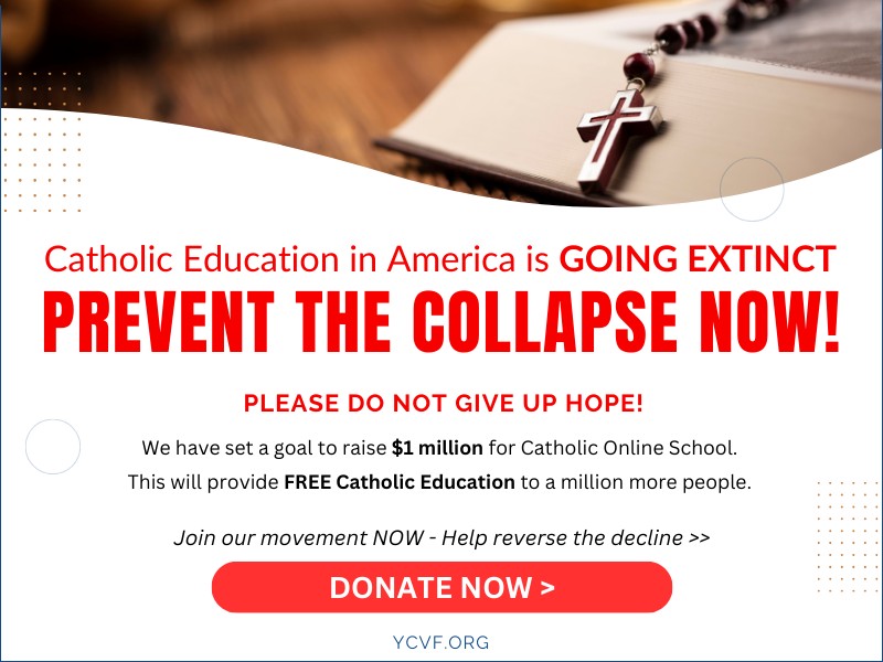 The Battle for Catholic Education - Prevent the Collapse Now!